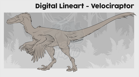 Velociraptor - Lineart