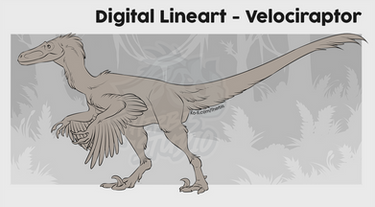 Velociraptor - Lineart