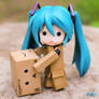 The One Behind The Danbo Suit