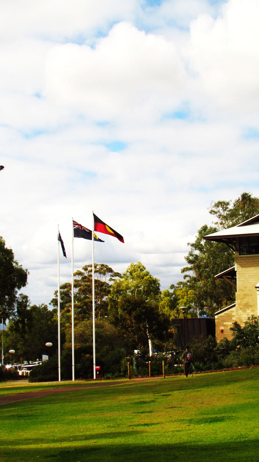 Flags