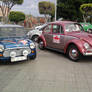cooper and beetle