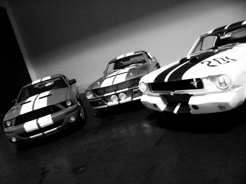 shelby mustangs