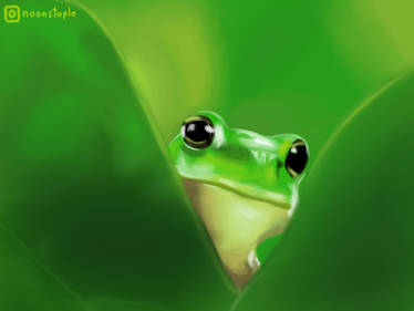 Curious frog