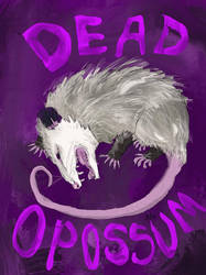 The Dead Opossum