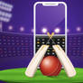 Cricket Betting Software Development Company