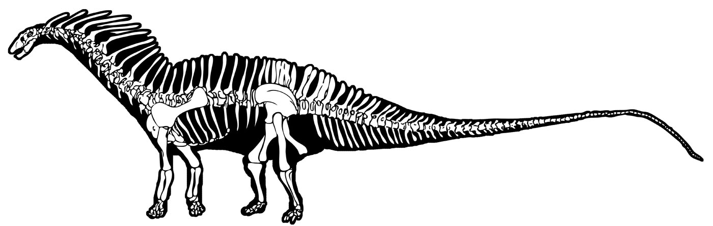 amargasaurus