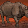 Rhinoceros