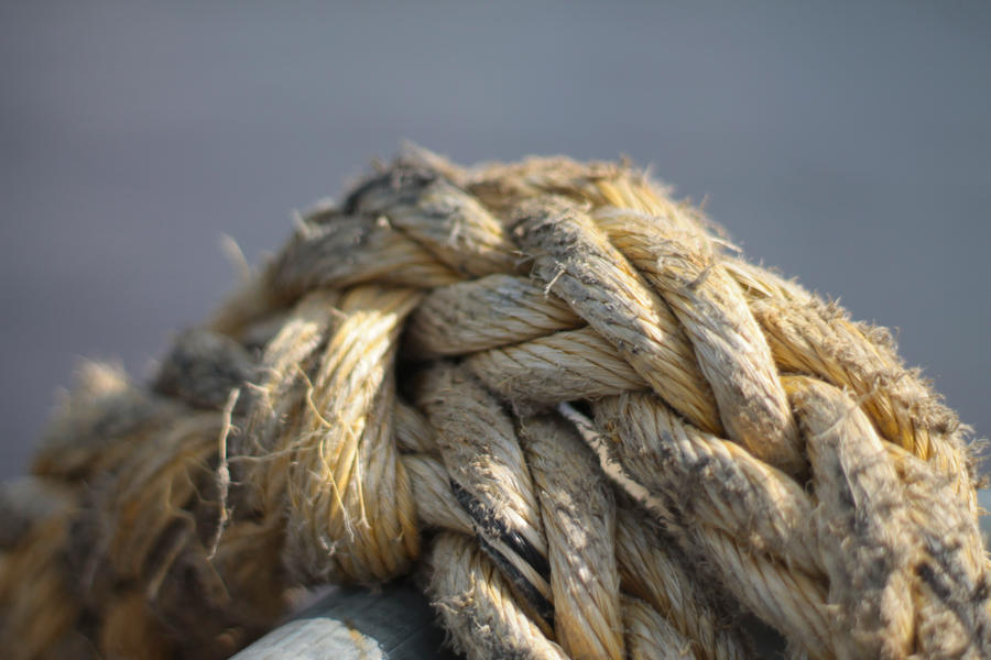 River Reeds Rope Rope at the River by lindsaymobil22 on DeviantArt