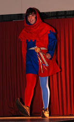 14th Century Jester Costume