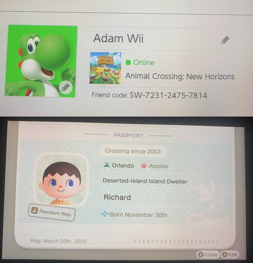 My Nintendo Switch Code and ACNH details by furikatsuma on