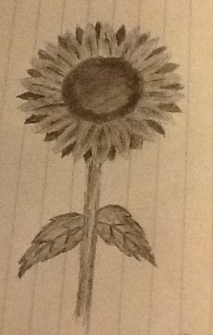 Sunflower pencil sketch