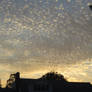 Scalloped Clouds 2