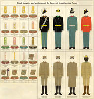 Rank Insignia and Uniforms