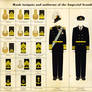 Naval rank insignia and uniforms