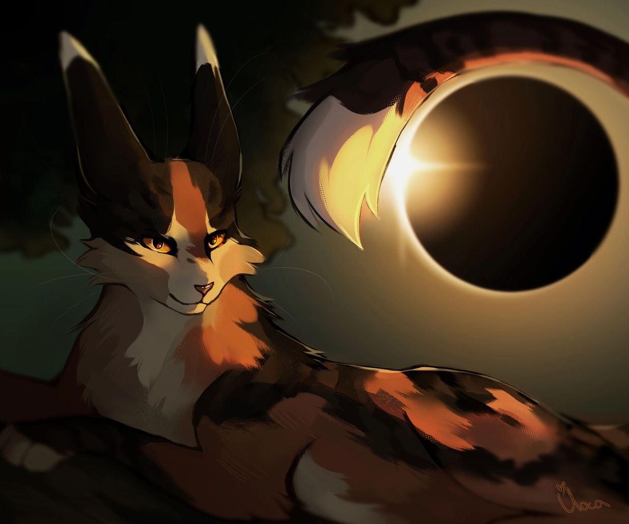 Sol by StealingDreamms on DeviantArt