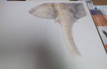 Elephant WIP