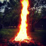 Reaching Flame