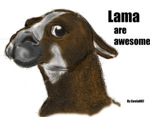 Llama