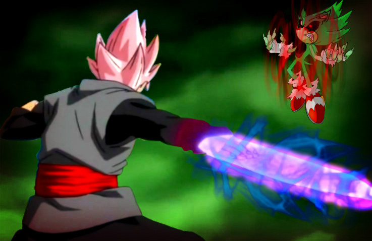 Super Sonic Exe VS Goku Black SSJ Rose.