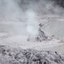 Bubbling Mud in Rotorua