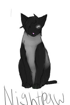 Nightpaw for Meowzerz123