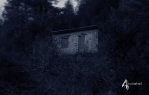 Resident Evil 4 Woods cabin