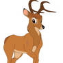 Bambi Full Stag Age