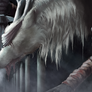 The Hunt