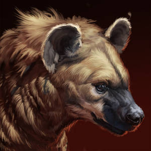 Hyena