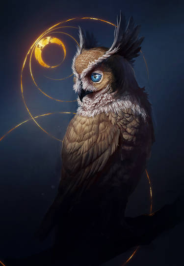 Explore the Best Owl Art