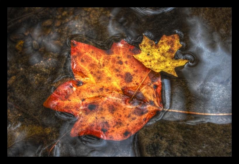 Fall Washing Away