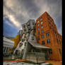 The Stata Center