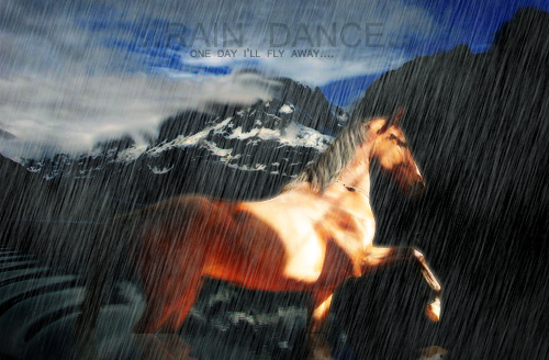 Rain Dance