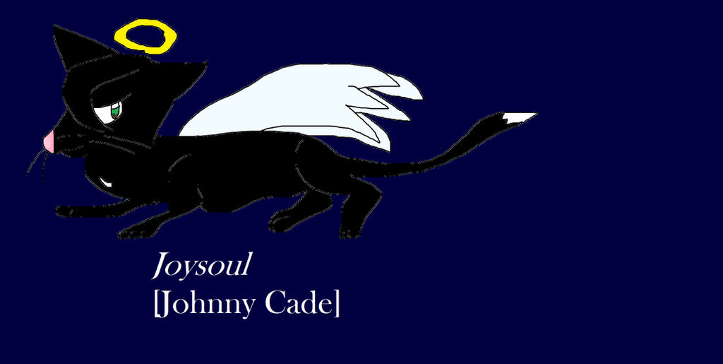 Johnny Razor Cat Johnny Cade as a cat by skyclan199 on DeviantArt