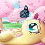 FlutterFly