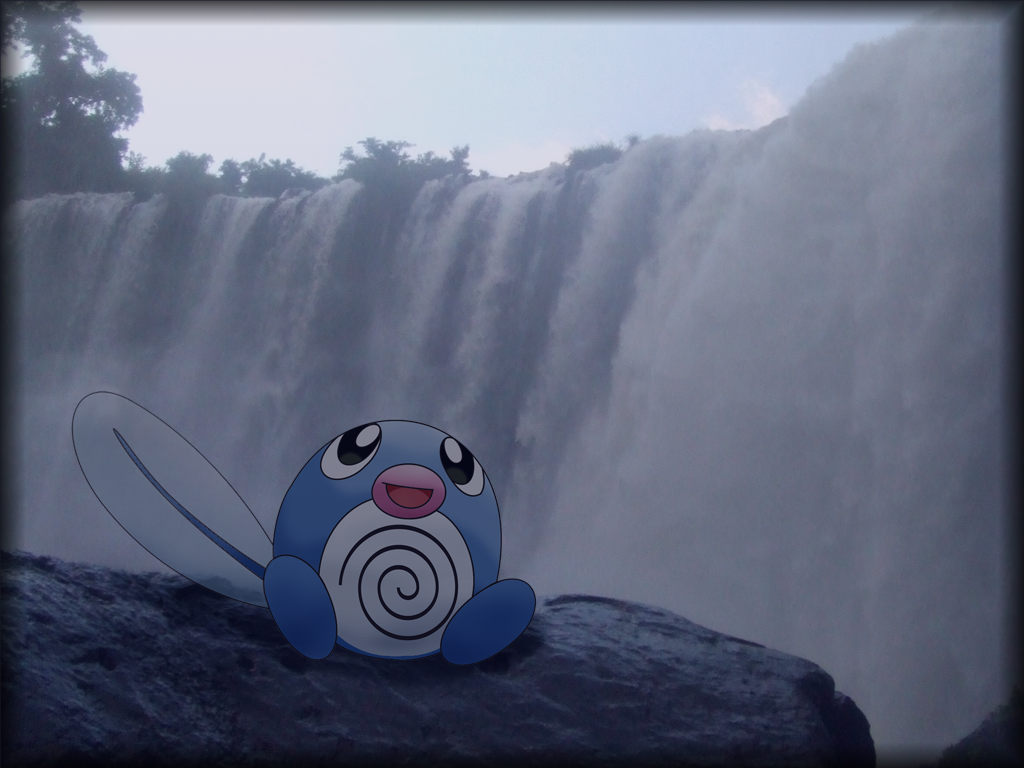 Poliwag  the waterfall pokemon