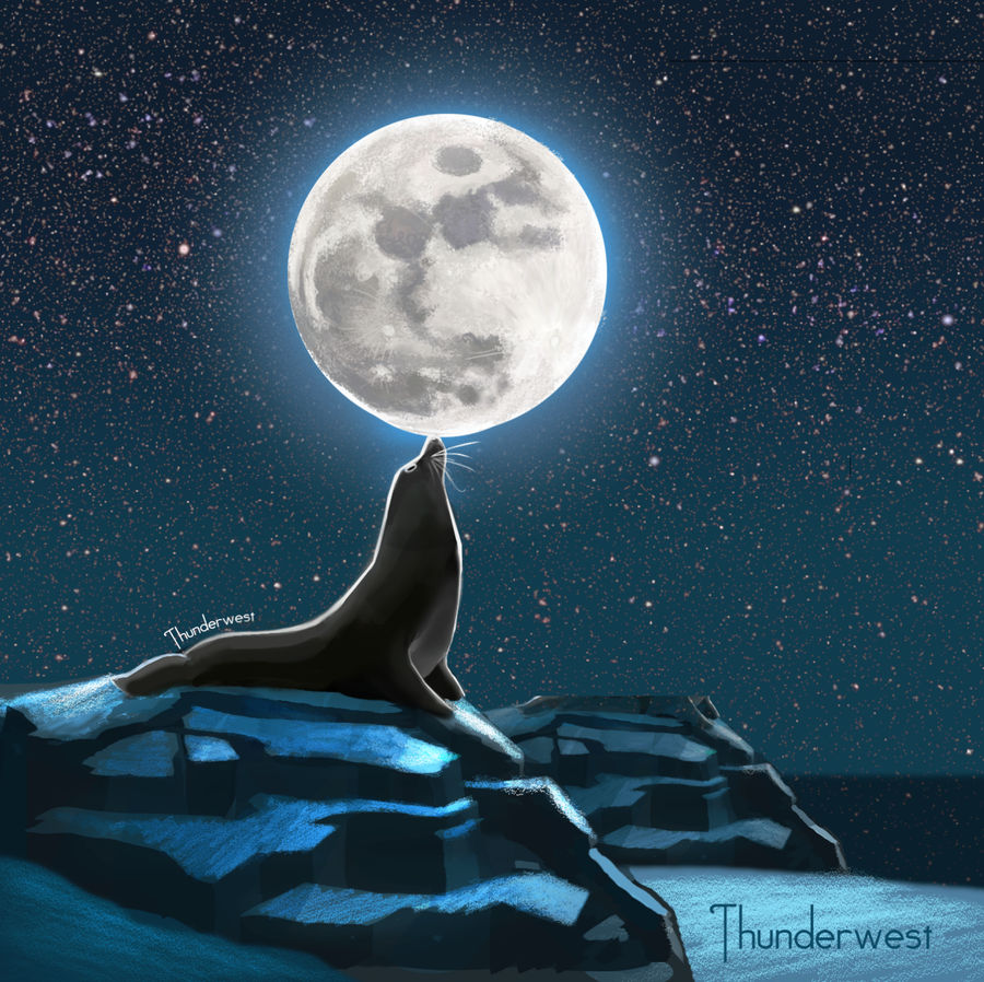 seal_moon_by_thunderwest_d8yy6o4-fullview.jpg