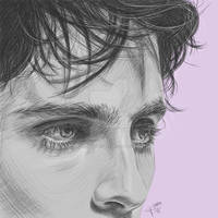 Timothee Chalamet