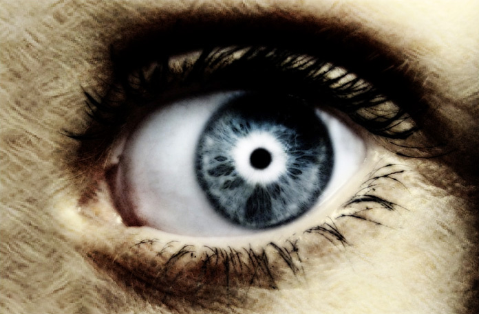 Eye