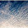 Ripple Cloud