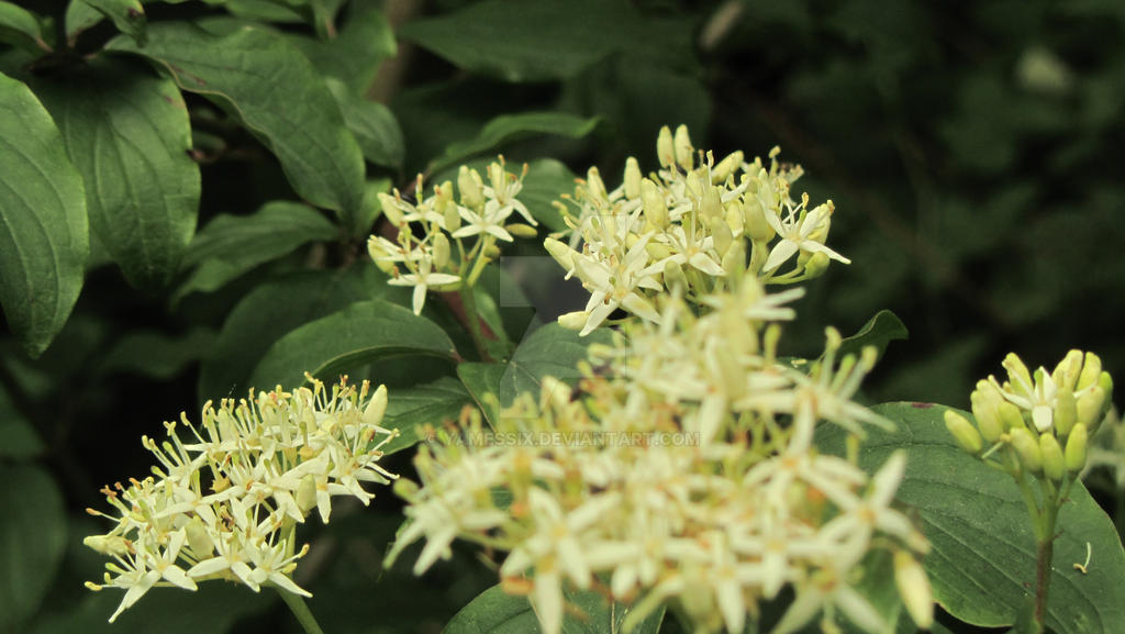 random reference pictures... 007 by YamesSix on DeviantArt