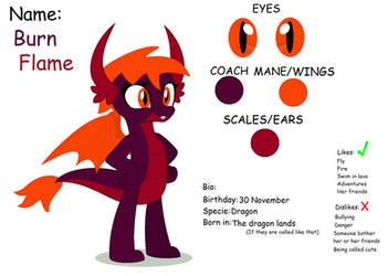 Burn Flame biography