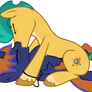 WardHitch making out