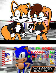 Sonic's schoolhouse (CaraEJ)