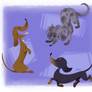 Doxie Doodles