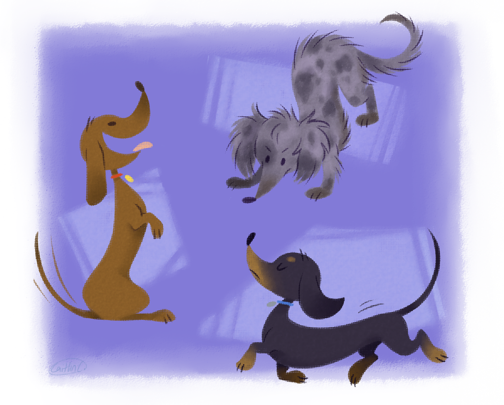 Doxie Doodles