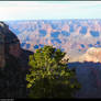 Colorado Canyon 1