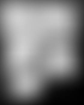 Nanetta Dissolves, p. 5