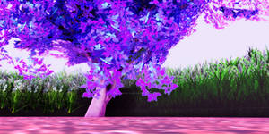 Magic Landscape