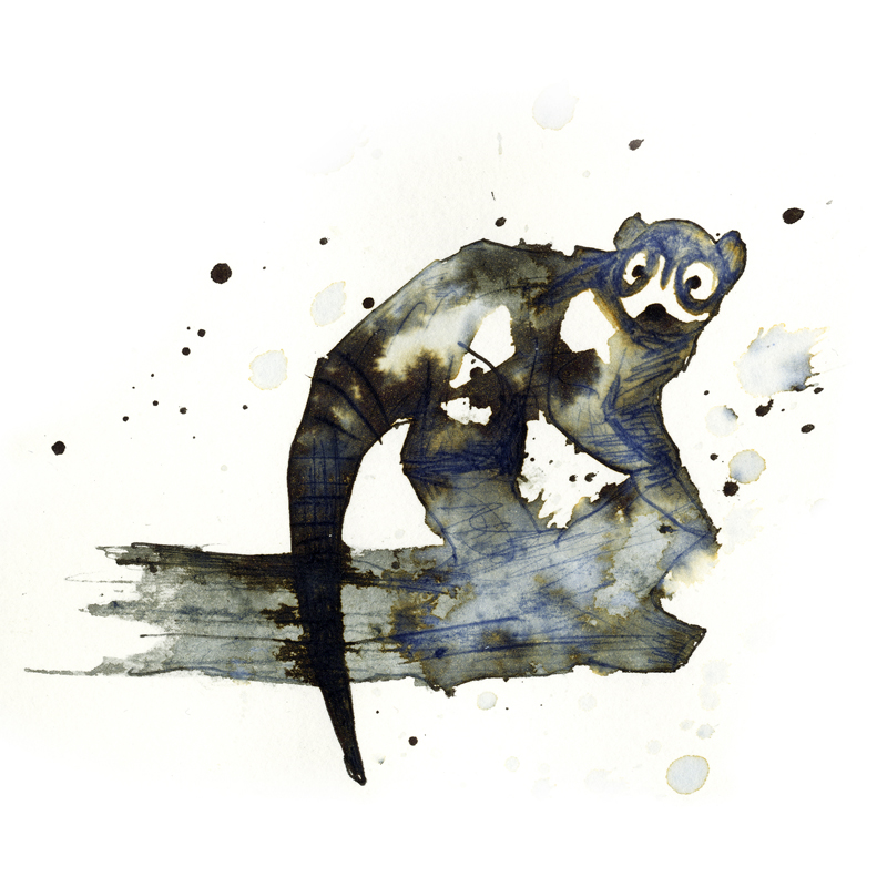 InkAnimals - Coati